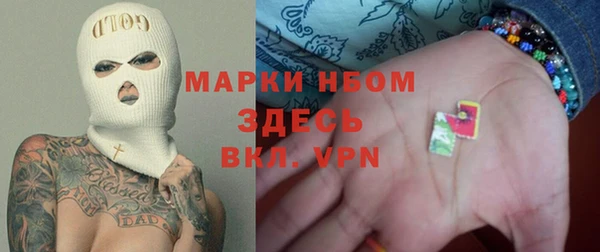 крисы Бородино