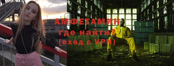 spice Богородицк