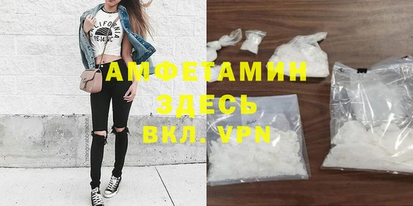 прущие грибы Богородск
