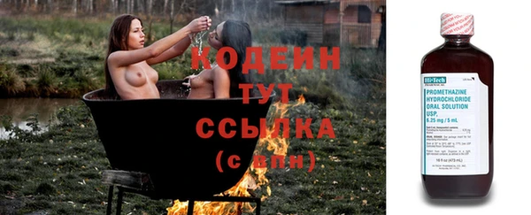 spice Богородицк