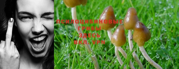 марки nbome Богданович