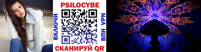 как найти   Биробиджан  Псилоцибиновые грибы MAGIC MUSHROOMS 